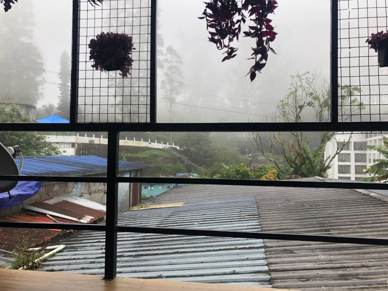 Birdwing Cottage, 蒙纳 外观 照片